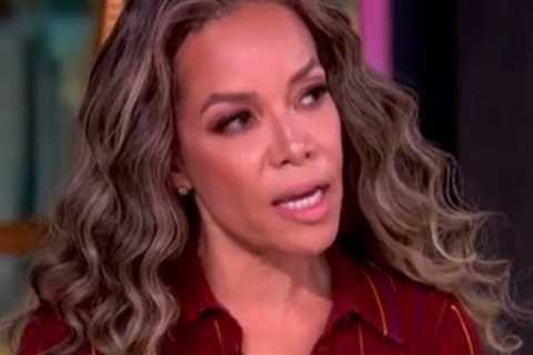 Sunny Hostin of ‘The View’ Says ICE Deserves Coming ‘Reckoning’ as Agents Are Being Attacked by Violent Leftists (VIDEO)