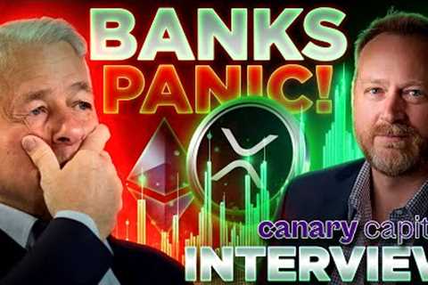 XRP FedWire Launch PANICS JP Morgan!!🔥Canary Capital CEO Steven McClurg🚨