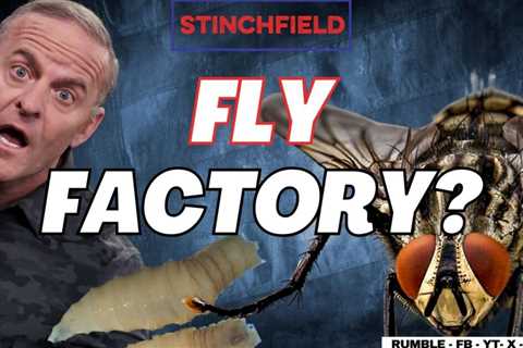 Fly-Pocalypse at the Border: Gov’t Engineered Sterile Flies Set to be Dropped on Texas! (VIDEO)