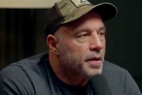 Joe Rogan Reveals the Reasons He Decided to Interview Trump on His Podcast Before the Election (VIDEO)