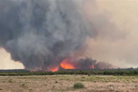 Watch: Rare ‘Firenado’ Captured on Video as it Cuts a Swath of Destruction