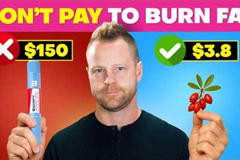 The CHEAPEST Ways To Lose Fat in 2 Weeks! (Healthy &amp; Easy)