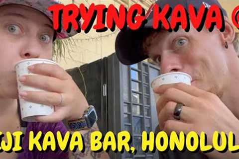 Best Kava in Hawaii? - Fiji Kava Bar Honolulu, Oahu Serves &amp; Exports Kava Worldwide 2022 #hawaii