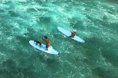 Surfing at Kahalu'u Beach Park, Kona Hawaii