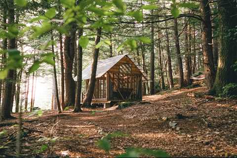 All It Took Was $3,000 and a Bit of Imagination to Bring This See-Through Vermont Cabin to Life