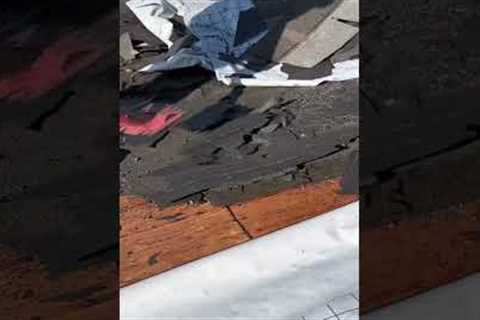 Day 1. Cleaning. FBC Hawaii / Roofing contractor in Oahu