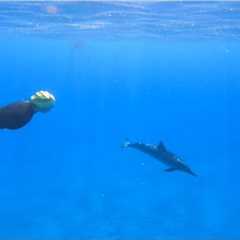 Swimming in Hawaii ~ Best Places to Swim on the Big Island