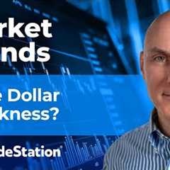 More Weakness Coming in U.S. Dollar? Market Trends: 8/7/25