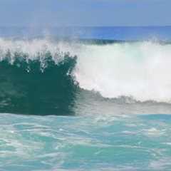 Surfing Ali'i Beach Haleiwa North Shore Oahu Hawaii  November 5th 2020