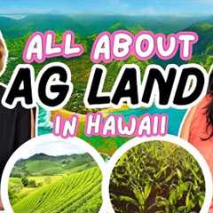 Can You Build on AG LAND in HAWAII?? 🤯 [Watch Before You Buy]