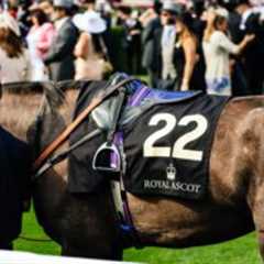 British horse racing to strike for first time in protest at betting tax hike