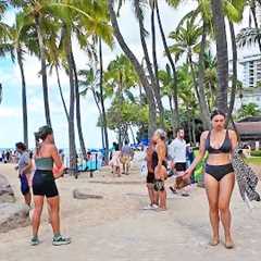 🌺 Walking to the HILTON HAWAIIAN VILLAGE Resort in Waikiki Beach, Hawaii 🌺