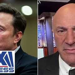 This is the power Elon Musk has: O’Leary loves ‘very contentious’ plan to cut spending