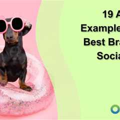 19 Amazing Examples of the Best Brands on Social Media