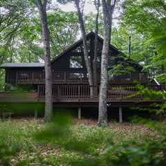 Budget Breakdown: With $55K, They DIYed the Perfect Forest Cabin in West Virginia