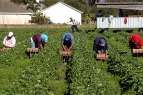 Immigrants in Europe and North America earn nearly 18% less than natives, study reveals