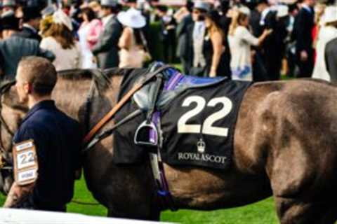 British horse racing to strike for first time in protest at betting tax hike