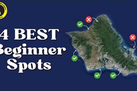 Hawaii's Best Beginner Surf Spots!
