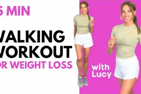 Walking Exercise for🔥 Weight Loss  - Walk at Home - 15 minute Walk with Lucy