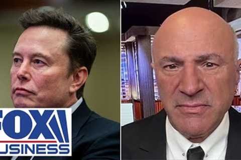 This is the power Elon Musk has: O’Leary loves ‘very contentious’ plan to cut spending