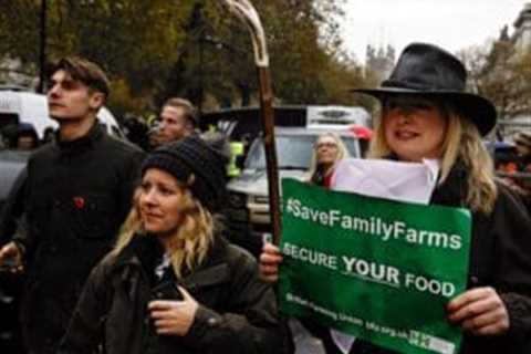 Starmer accused of betraying farmers as British food pledge stalls