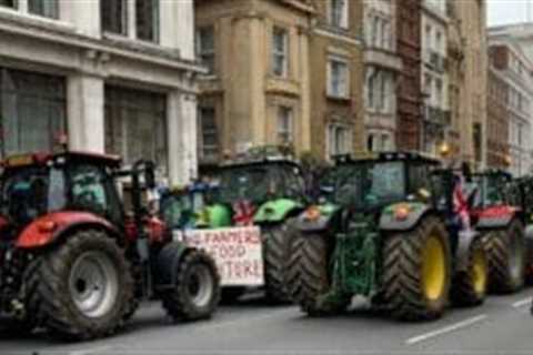 Farmers warn of crisis as poll shows 80% fear for survival and none back Labour