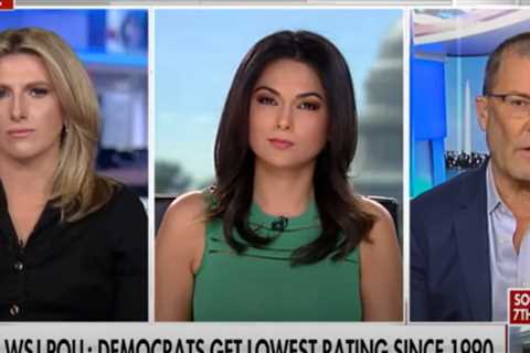 Former Counsel to House Democrats Says Party Has Become a ‘Cult That Worships Weird Progressive Idols’ (VIDEO)