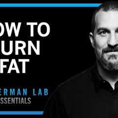 Lose Fat With Science-Based Tools | Huberman Lab Essentials
