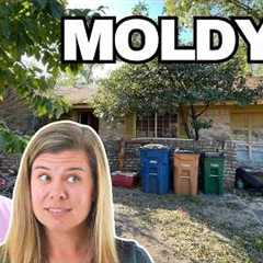 Flipping the Most Disgusting House We've Ever Seen | Complete Remodel