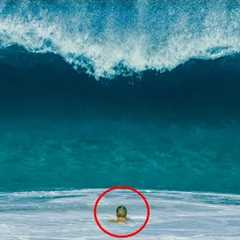 How To Survive the Wave Impact Zone! (Hawaiian Shorebreak)