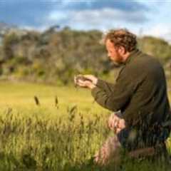 UK Farmers feel ‘abandoned’ as thousands of Countryside Stewardship contracts end