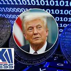 Trump is ushering in a crypto ‘golden age,’ Gemini co-founders say