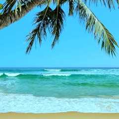 Tropical Beach Ambience | White Noise for Stress Relief, Meditation & Sleep | 10 Hours