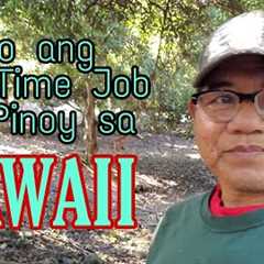 Eto ang Part Time Job ni Pinoy sa Hawaii. Mga Lola Namumulot ng $$$.