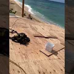 Roofing contractor in Oahu. FBC roofing #roofers #oahu