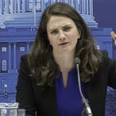 Furious Nina Jankowicz – Biden’s ‘Disinformation Czar’ – Announces Fox News Has Defeated Her in Court
