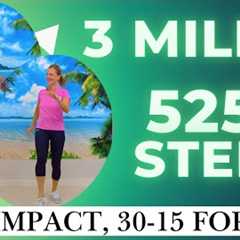 Over 5,000 Steps in 45 Minutes! | Low Impact Cardio Workout at Home