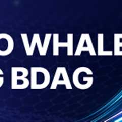 XRP Price, BlockDAG Locks BWT Alpine F1® Team Deal: Presale Crosses $415M!