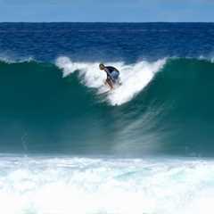 Laniakea Action! | Surfing Hawaii | North Shore Oahu