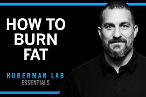 Lose Fat With Science-Based Tools | Huberman Lab Essentials