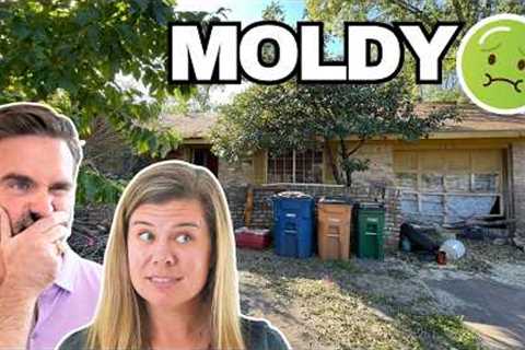 Flipping the Most Disgusting House We've Ever Seen | Complete Remodel