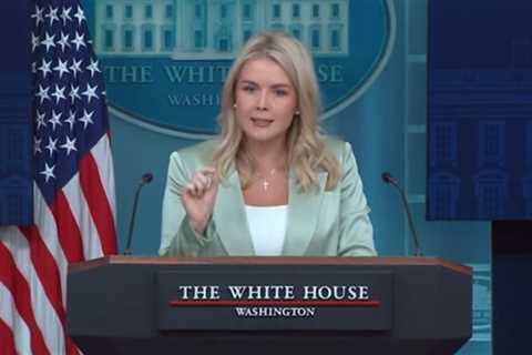 (VIDEO) Karoline Leavitt Shreds Democrat Mayors for Leading 19 of the 20 US Cities with Highest Murder Rates in Response to Democrats Claiming Republican States Have High Crime