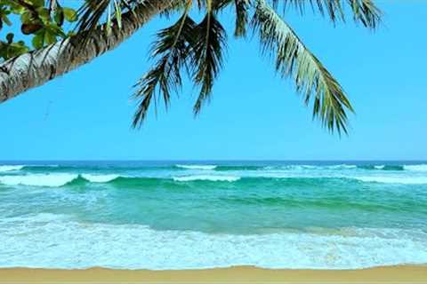 Tropical Beach Ambience | White Noise for Stress Relief, Meditation & Sleep | 10 Hours