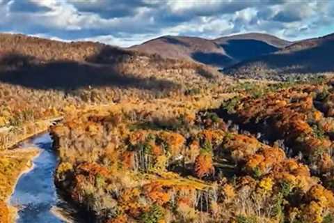 Four Hikers in New York’s Catskill Mountains Take Psychedelic Mushrooms, End Up Calling Rangers for Help After Freaking Out