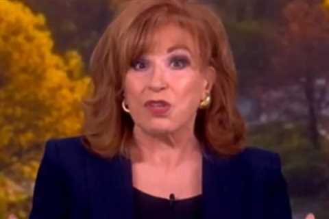 ABC’s ‘The View’ Goes Right Back to Being Toxic TV: ‘Elephant in the Room is That We’re Screwed!’ (VIDEO)