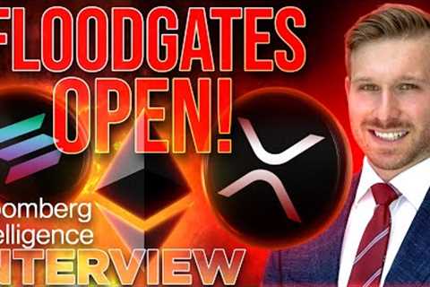 Crypto ETF Floodgates Open!🚨Bloomberg Intelligence INTERVIEW🔥