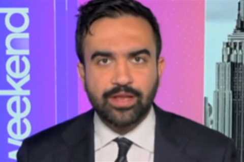 Zohran Mamdani Wants to Spend $100 Million in NYC Tax Dollars on Increased Services for Illegal Aliens (VIDEO)