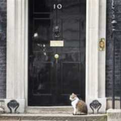 Reeves’ Budget: is Larry’s cat food the last refuge?