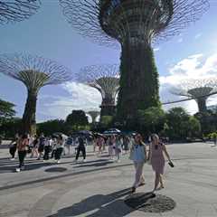Why Singapore Is Getting Serious About Shade—and Everything Else You Need to Know About This Week
