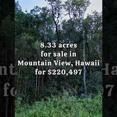 8.33 acres In Hawaii for $220,497 ✅ #realestate #hawaii #shorts #fyp #property #forsale #land #sale